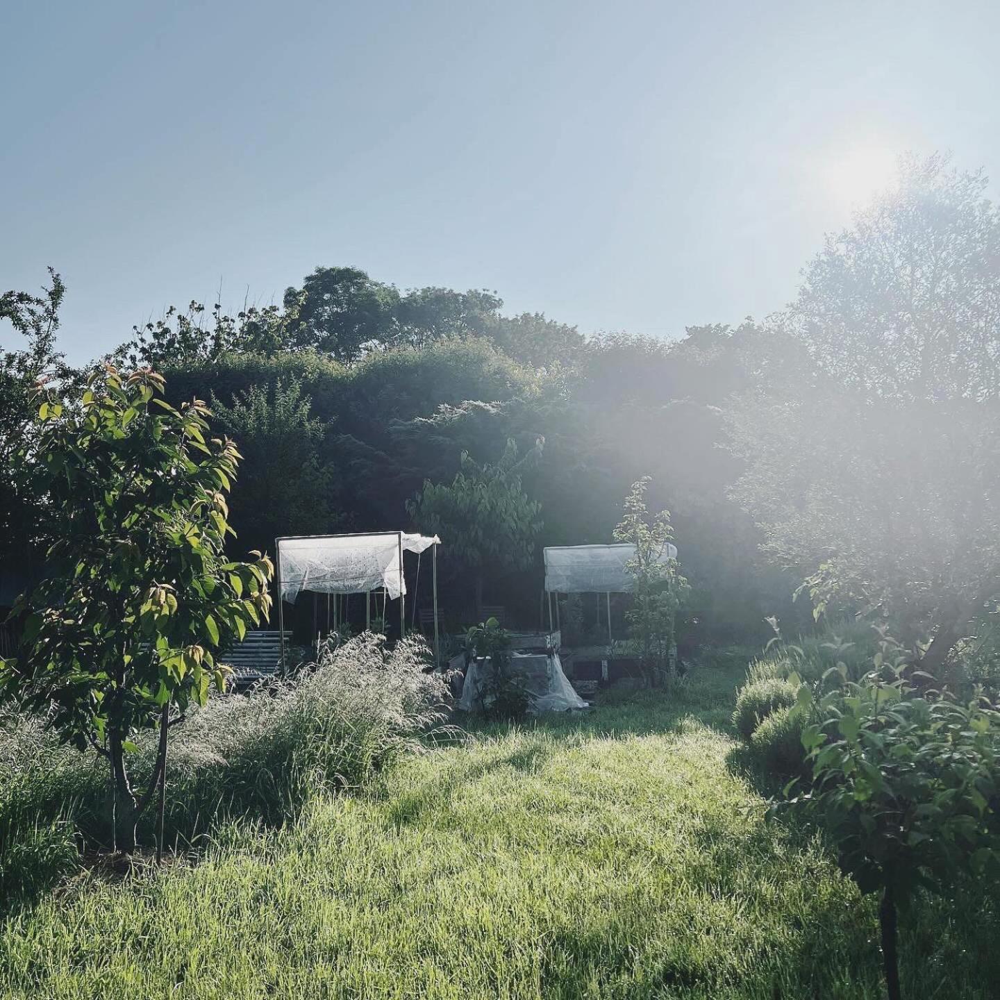 Maisonnette - La Clochette Lugon et l’Ile du Carney 外观 照片
